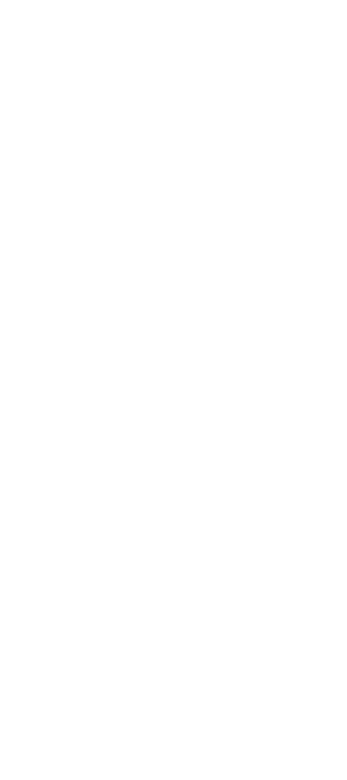 专业网站建设